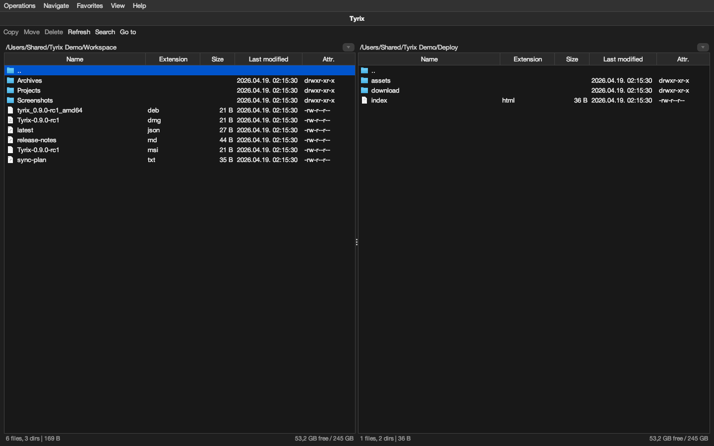 Tyrix running with two file panels in a controlled demo workspace