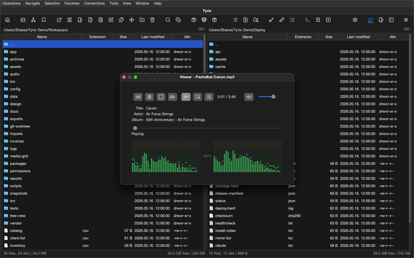 Tyrix audio player playing an MP3 music file with spectrum analyzer