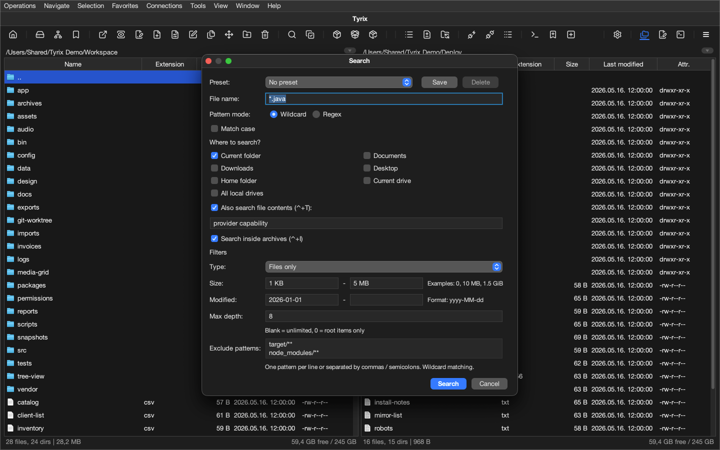 Tyrix search dialog with content, archive, scope, and filter options