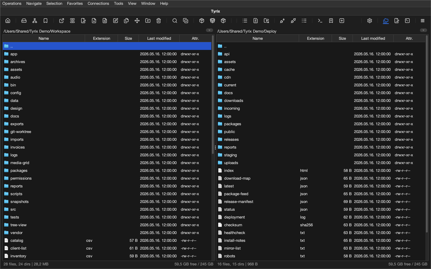Tyrix showing two file panels in a generated demo workspace